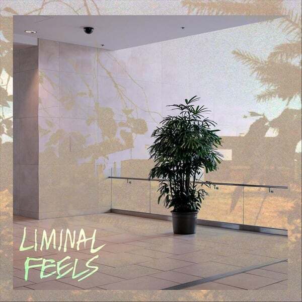 Cover art for Liminal Feels